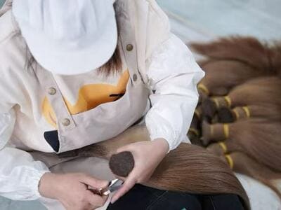 Hair Sorting Process